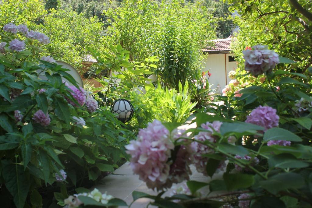 Hotel Garden Pansiyon Çıralı Exterior foto